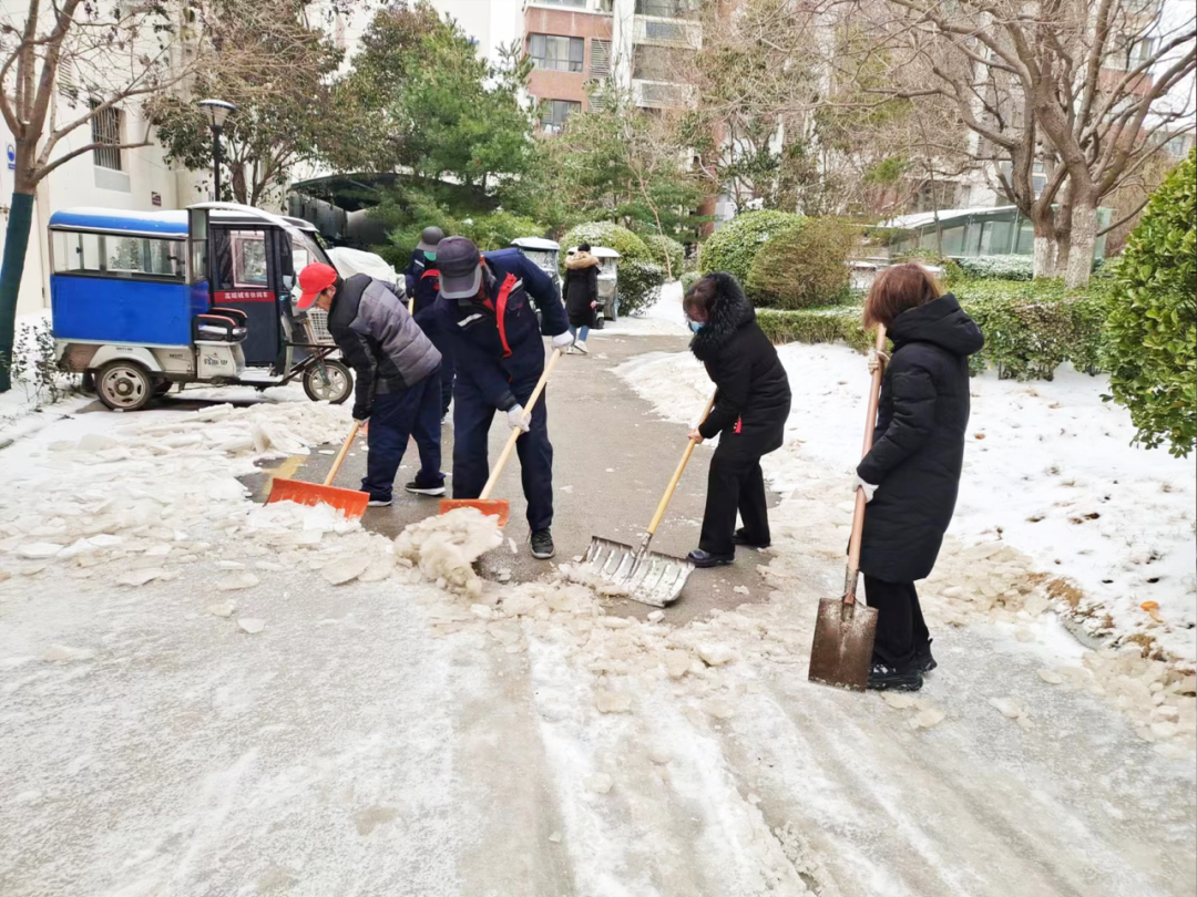 以雪為令，挺膺擔當｜魯商服務黨員突擊隊在行動