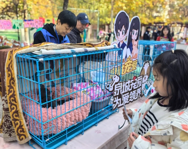 文明養(yǎng)寵，寵愛有方！魯商服務(wù)萌寵生活節(jié)圓滿落幕