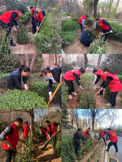 【涌光黨建】黨旗飄揚踐初心 植樹添綠正當時丨魯商服務濟南城市公司黨支部開展植樹節(jié)主題黨日活動
